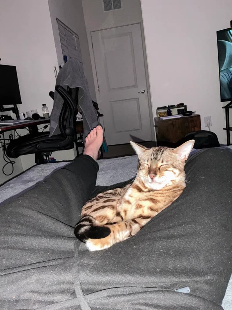 Newborn Onyx in his first days