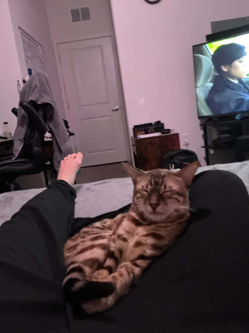 Baby Onyx adorable shot