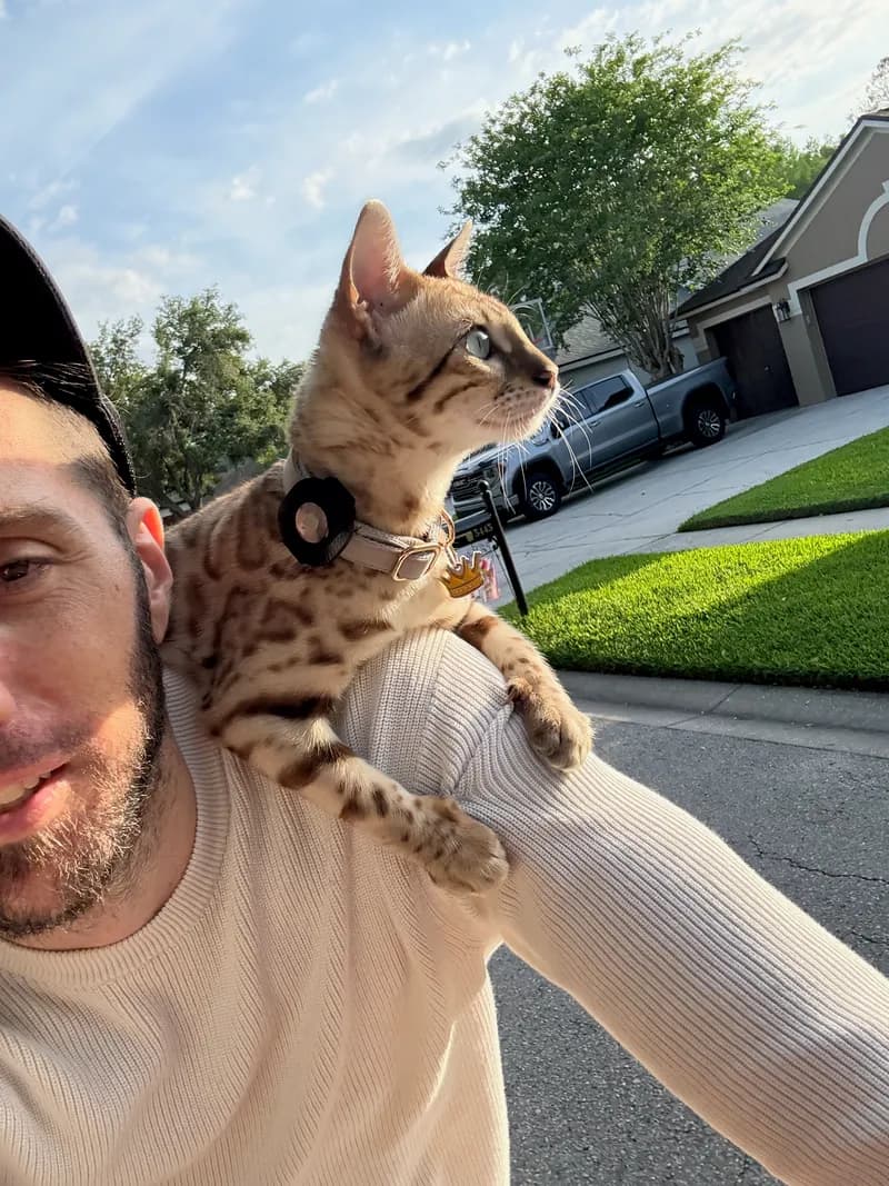 Onyx exploring outdoors on shoulder