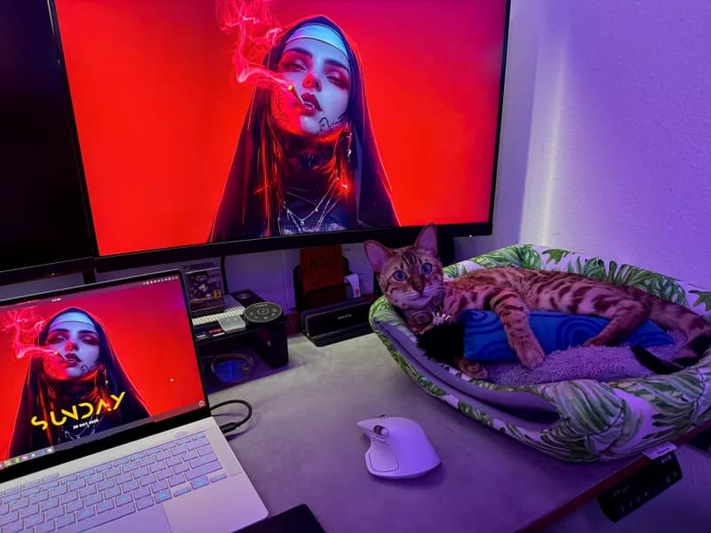 Onyx mid-vocalization